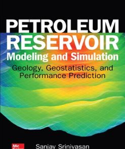 Petroleum Reservoir Modeling and Simulation. Geology, Geostatistics, and Performance Reduction 1st Edition - eBook PDF